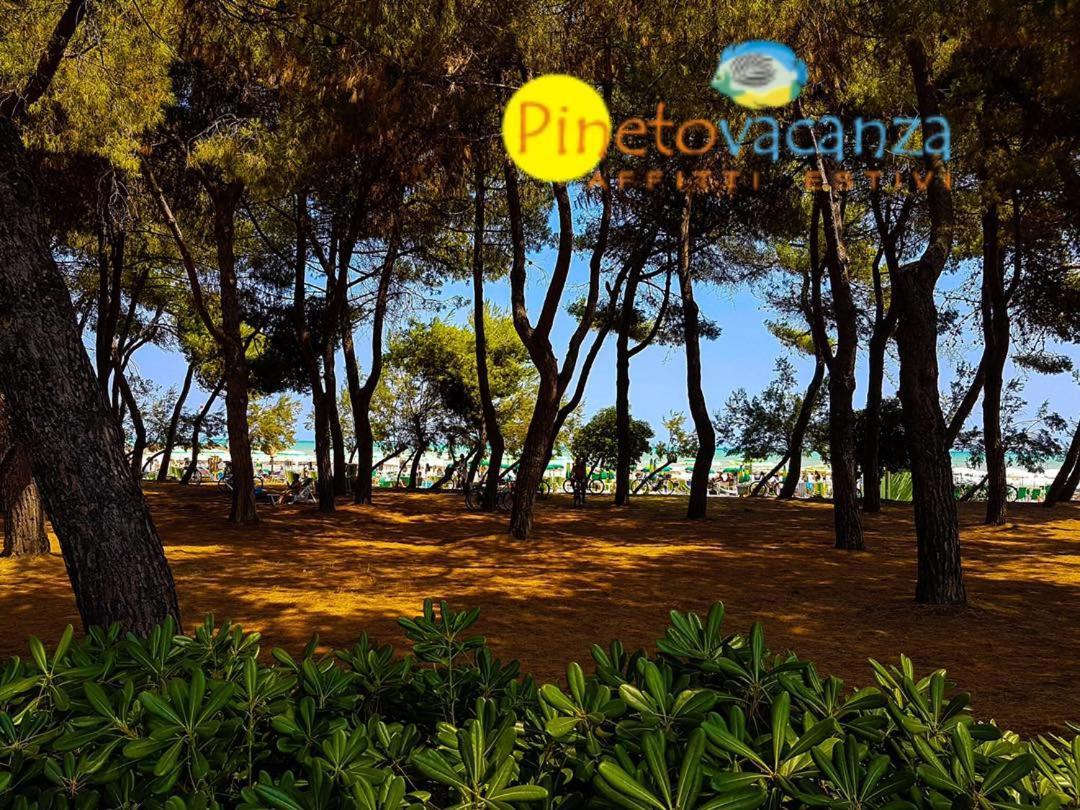 Myconos C2 - Pineto Vacanza Luaran gambar